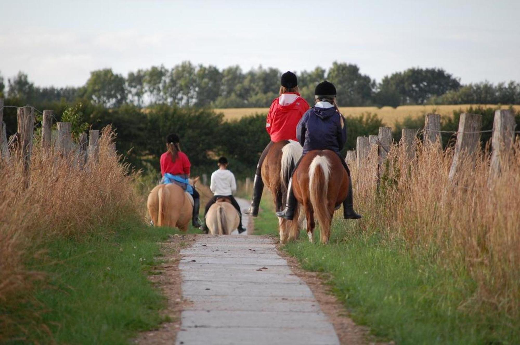 Ferienwohnungen Auf Dem Ferienhof Sell Stoltebull ภายนอก รูปภาพ